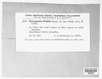 Image Associated With the Occurence